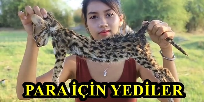 Hepsi YouTube'dan Para Kazanmak İçin! Nesli Tükenmekte Olan Hayvanların Derilerini Yüzüp Yiyen Kadın