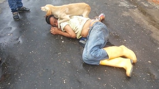 Yerde Yatan İnsan Dostunun Yanına Kimseyi Yanaştırmayan Köpek