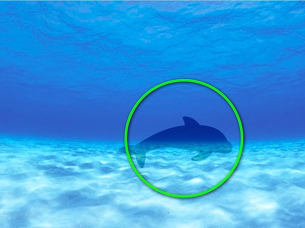 Показать правильный ответ