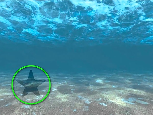 Показать правильный ответ