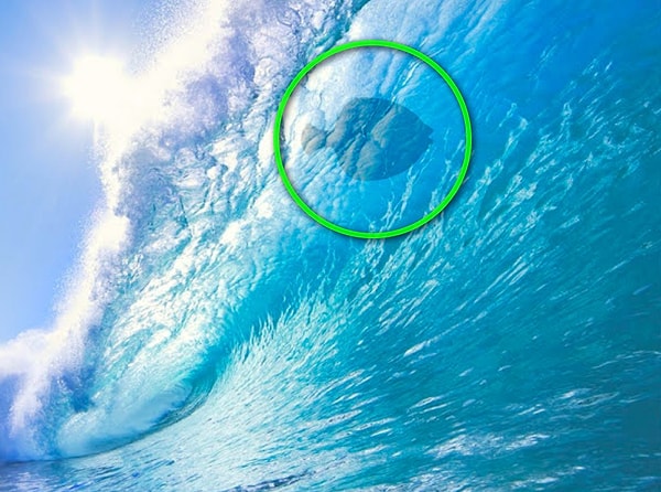 Показать правильный ответ