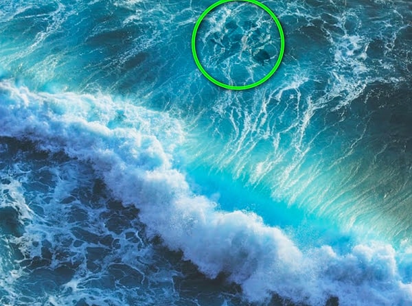 Показать правильный ответ