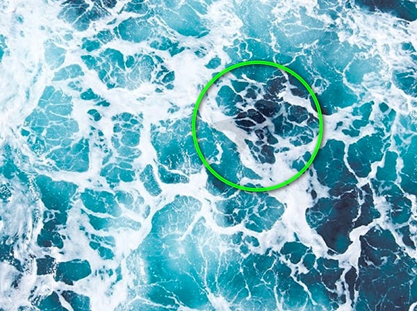 Показать правильный ответ