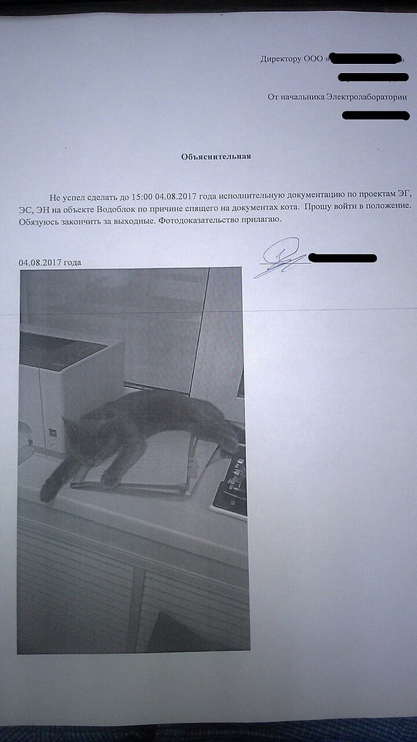 7. Оправдан!