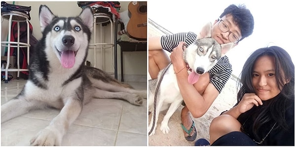 И девушку его тоже очень любит.