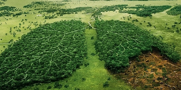 4. Какой вариант будет верен в данном случае?