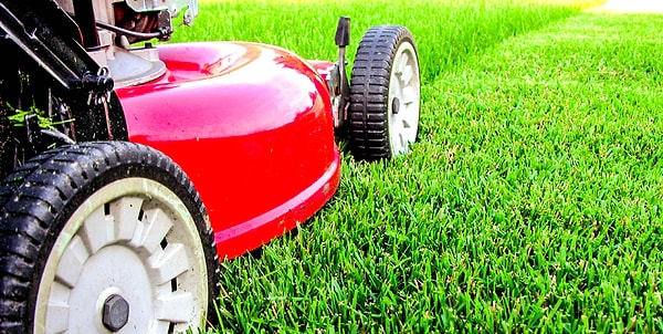 7. Есть мысли?