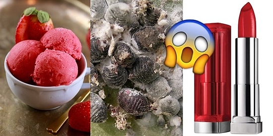 Her Gün Fark Etmeden Yüzlerce Ezilmiş Böcek Yiyor Olabilirsiniz!