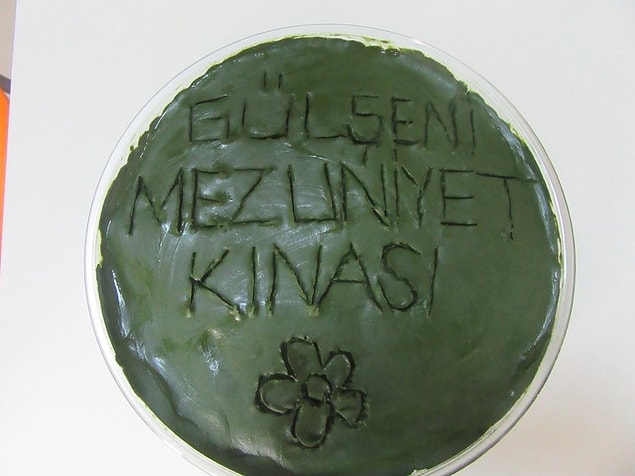 1. Mezuniyet Kınası