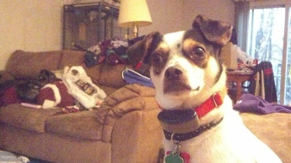 8. Удивлен? Нет, поражен!