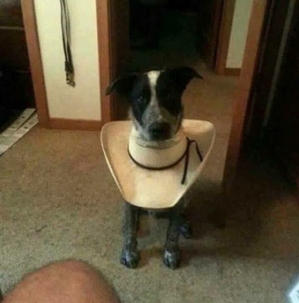 10. Модный ковбой!