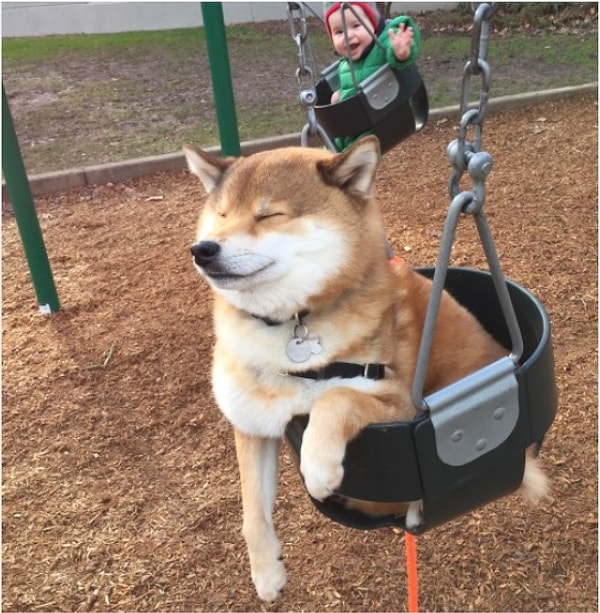 11. "Мммм, блаженство!"