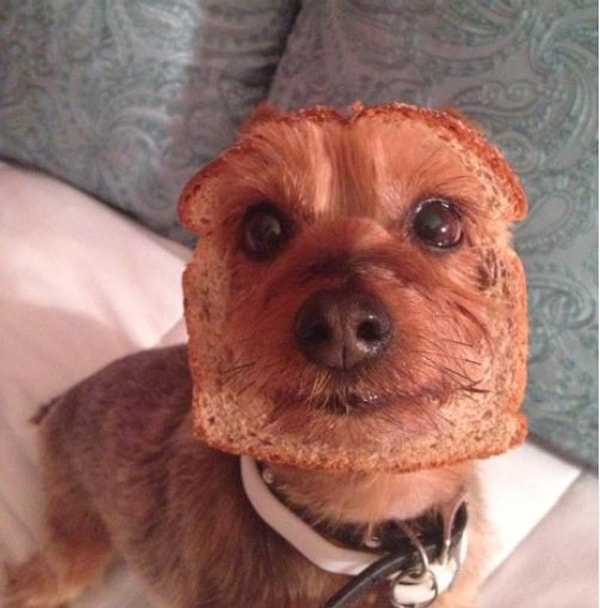 13. Хлеб - всему голова!