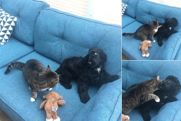 14. Настоящая дружба!