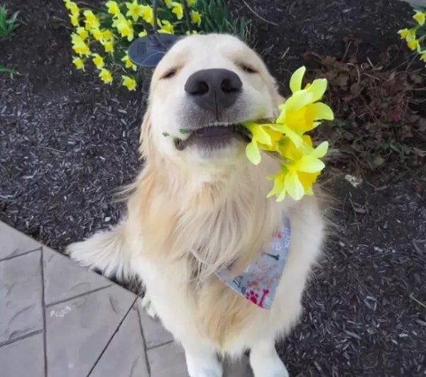 19. Хорошего вам дня!