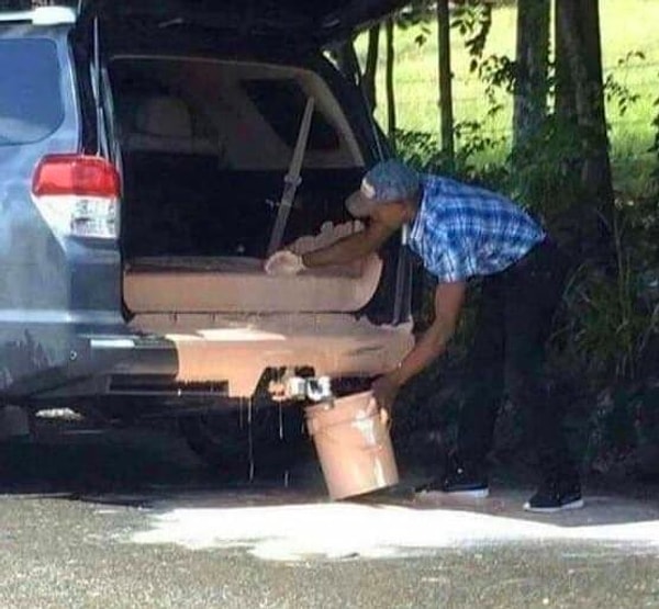 10. Совершенно благие намерения этого человека перекрасить кухню теперь обречены на провал