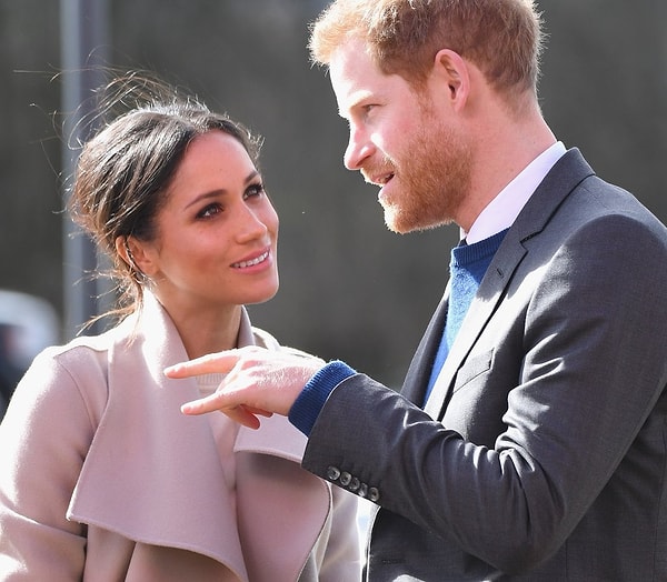 10. Выберите животное, которое хотели бы завести вместе: