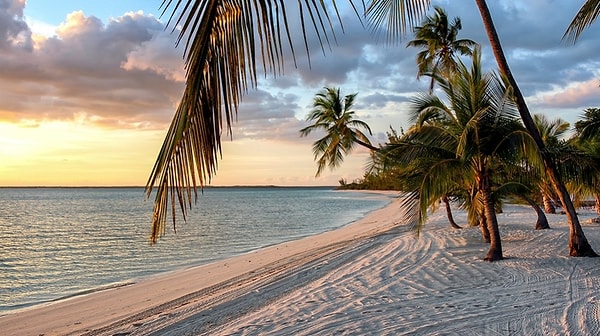 5. А что наденете вечером?