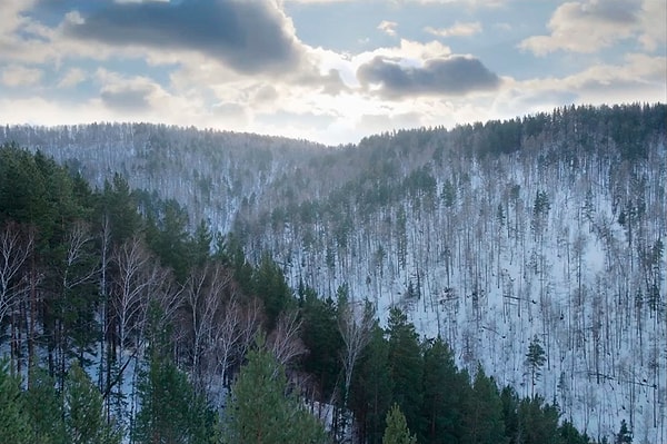 1. Какое место в мире Россия занимает по территории?