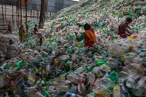 17. А вы готовы взять на себя ответственность за заботу о планете?