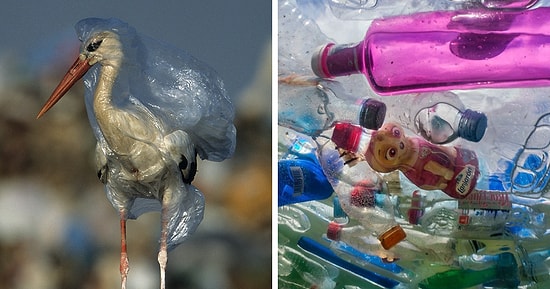 Ужасы потребления: Июньская обложка журнала "National Geographic" стала вирусной, шокировав миллионы людей