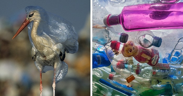 Ужасы потребления: Июньская обложка журнала "National Geographic" стала вирусной, шокировав миллионы людей