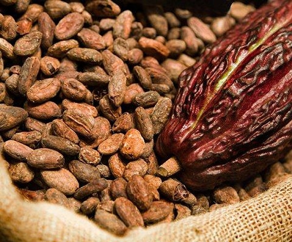 3. Если вы страдаете аллергией на шоколад, то у вас может быть аллергия на тараканов (и наоборот).