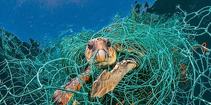 Gezegen mi Plastik mi? National Geographic'in Yeni Sayısı Acı Gerçeği Gözler Önüne Seriyor!