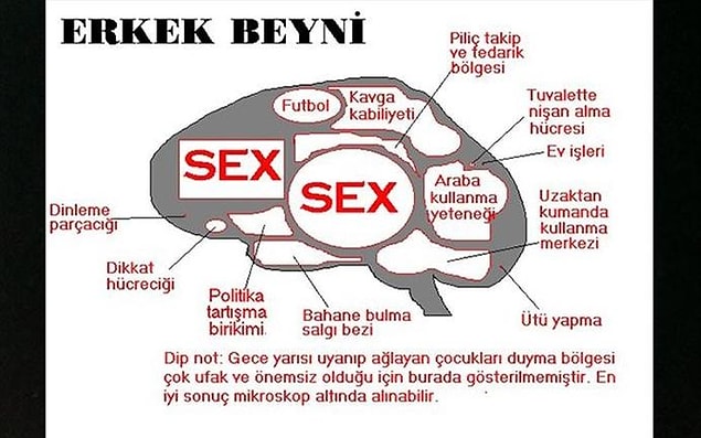 10. Gün içerisinde seksten başka şeyler düşünülünce beyinde meydana gelen tepkimeleri ölçme ve değerlendirme.