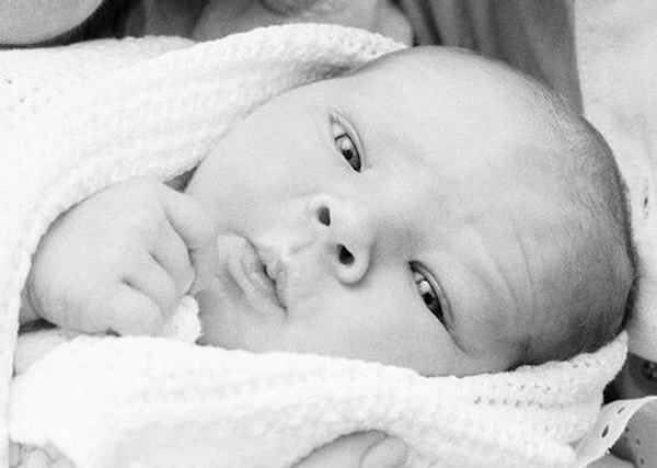 11. Кто это у нас такой милаха?