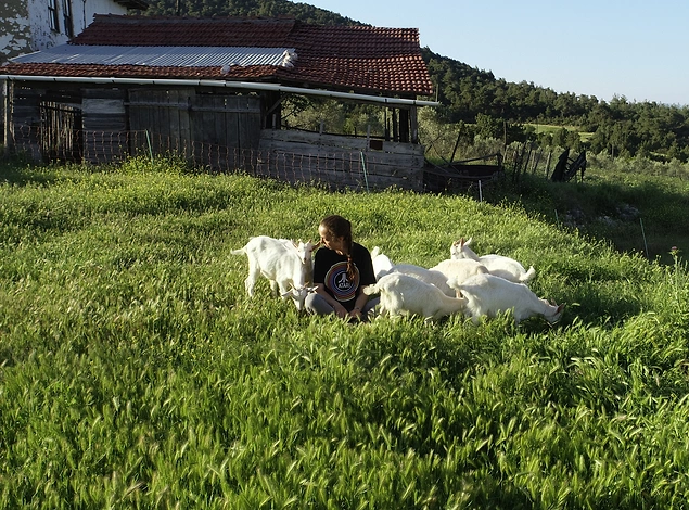 "Ben şehirde bu kadar saygılı, düzgün düşünceli insanı bir arada görmedim"