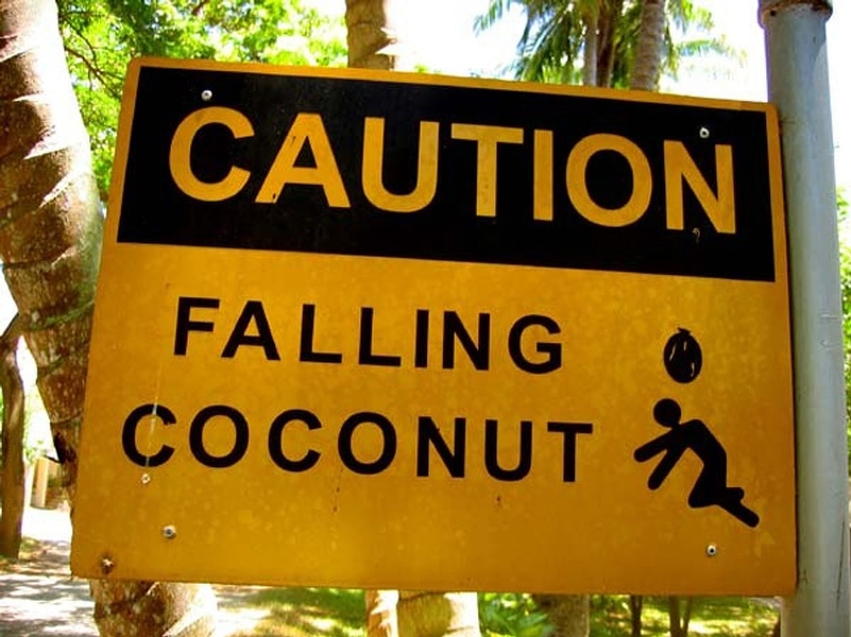 Welcome to australia. Caution Coconut Falls. Look out for Falling Coconuts. Beware of Lightning Strikes and Falling Coconuts sign.