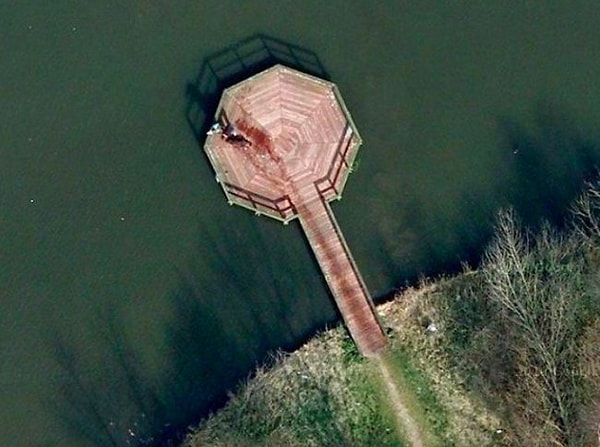 12. Это фото долгое время блуждало по интернету, а люди думали, что именно так выглядит сцена кровавого преступления. Вы тоже видите эти следы крови? На самом деле, собака просто искупалась, а затем бежала к своему хозяину по деревянному пирсу. Вот такая вот разгадка.