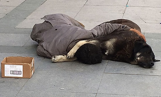 Sokak Ortasında Köpeğe Sarılarak Uyuyan Gencin Yürekleri Sızlatan Görüntüsü
