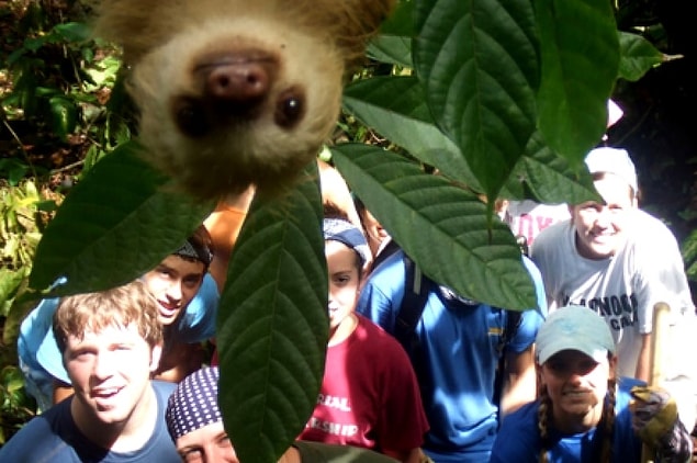 2. Bu tembel hayvan selfieyi ne güzel photobomblamış!