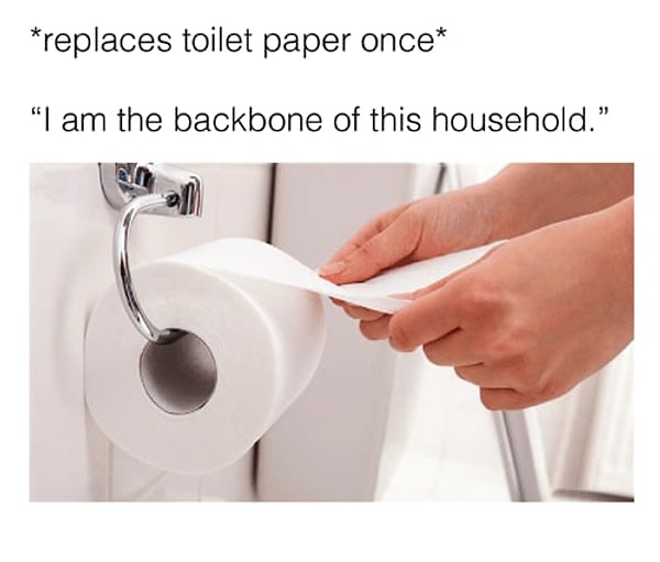 1. То чувство, когда вешаешь новый рулон туалетной бумаги: "Да я же главная опора этого жилища!"