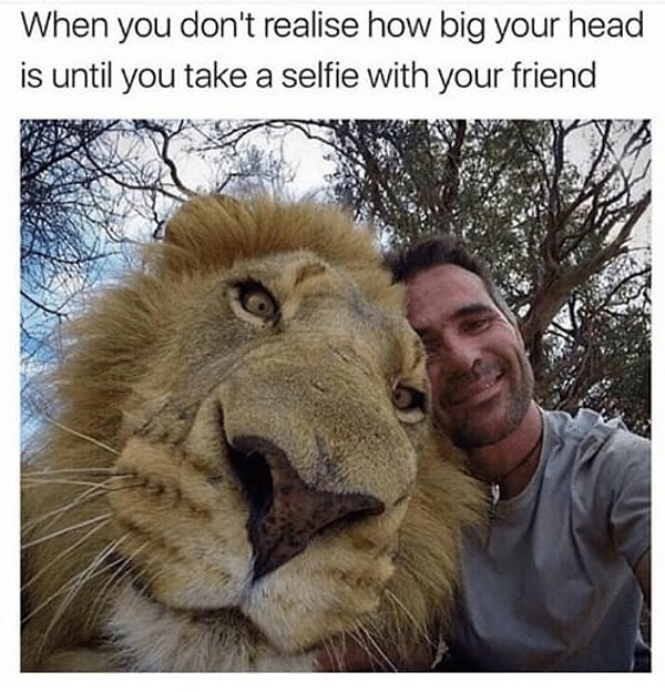 14. Когда не осознаешь, насколько огромна твоя голова до тех пор, пока не сделаешь селфи с другом 😣