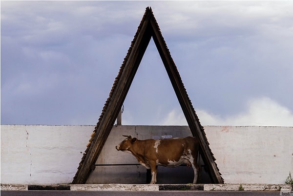 9. "Припарковалась" (2016)