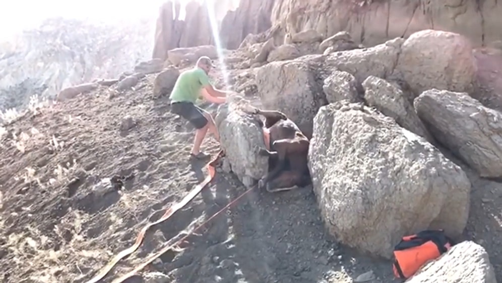 Kayanın Arasına Sıkışan Atı Kurtaran Güzel İnsan