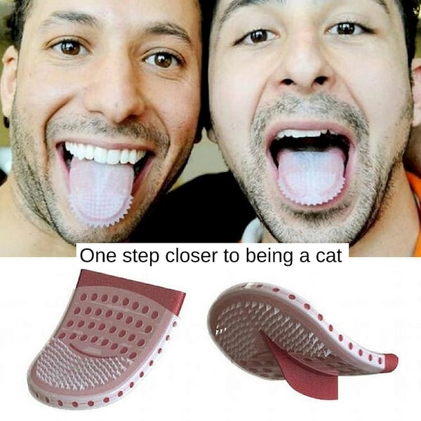 10. Хотите быть кошкой или котом? Теперь вы на шаг ближе к своей мечте!