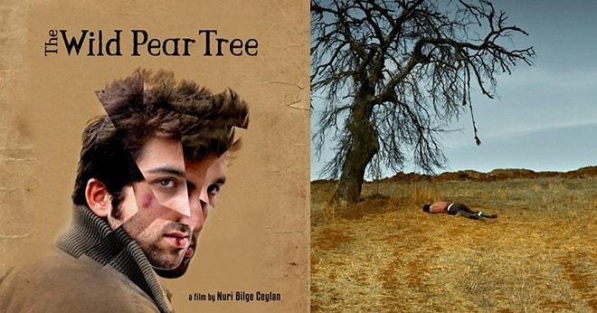 Cannes'da Büyük Beğeni Toplayan, Nuri Bilge Ceylan'ın Yeni Filmi 'Ahlat Ağacı'ndan İlk Fragman Geldi
