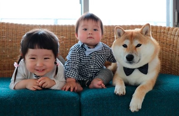 13. Гинджиро и Моа-чан - знаковый дуэт, который всегда позволяет своему псу сфотографироваться и участвовать в их приключениях.