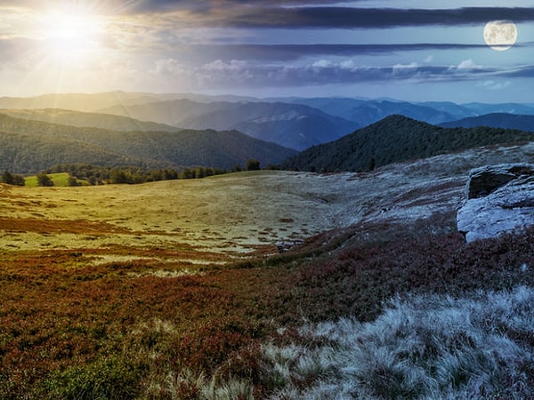 3. Вы жаворонок или сова?