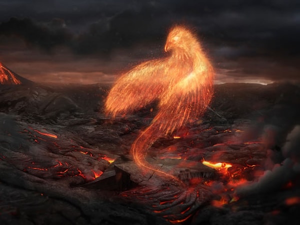 6. Какое волшебное существо могло бы стать вашим компаньоном?