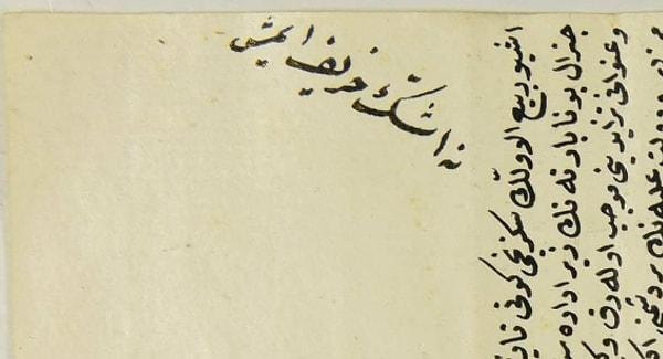Napolyon'un 1798'de Mısır'a saldıracağı söylentileri çıktığında Seyid Ali Efendi, Fransa Dışişleri Bakanı Charles Talleyrand'ın söylediklerine inanarak İstanbul'a böyle bir şey olmayacağını bildiren mektuplar gönderdi.
