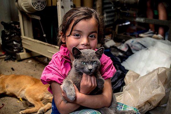 17. Kolombiyalı bu kız çocuğun ailesinin geliri, kişi başı aylık 163 dolar. En yakın dostu ise bir kedi!