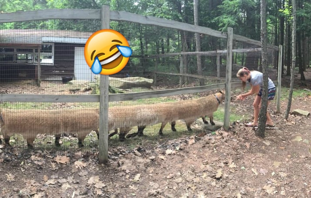 18 неудачных панорамных фото, которые можно продавать в качестве идей для фильмов ужасов :)