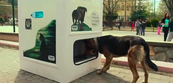 6. В Стамбуле есть специальные автоматы, в которые можно вложить пластиковую бутылку, а взамен получить пищу и воду для бездомных животных.