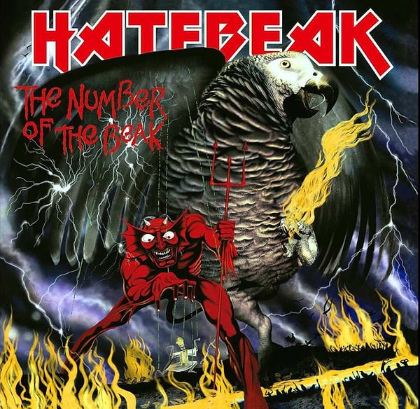 11. Солист американской рок-группы "Hatebeak" - птица жако.