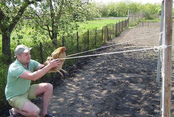 13. Энгри Бердс по-нашему.